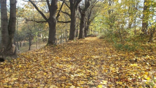 201410151435190.dscf1971