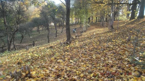 201410151435200.dscf1909