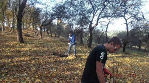 201410151435200.dscf1933