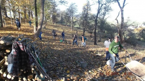 201410151435200.dscf1964