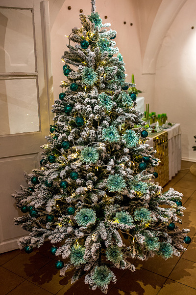201412031042370.j54a9620