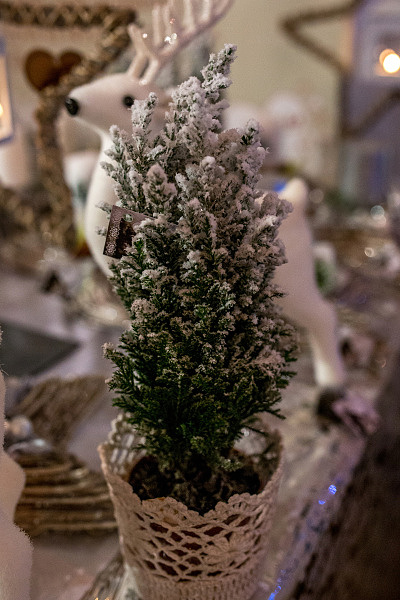 201412031042380.j54a9590