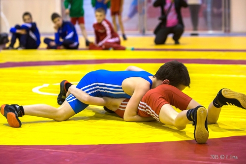 201505201118440.j54a3925