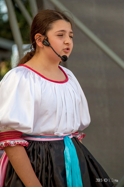 201507031100330.img-7914