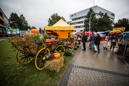 201509271154470.dsc-6410