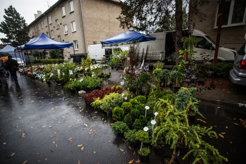 201509271154480.dsc-6407
