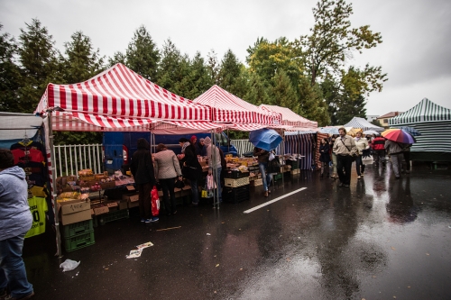 201509271154500.dsc-6464