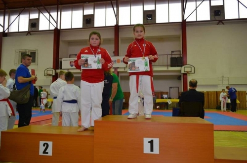 201512030837440.babilia-budzakova