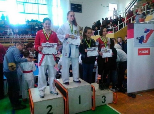201603210930100.2-kormanikova-gabriela