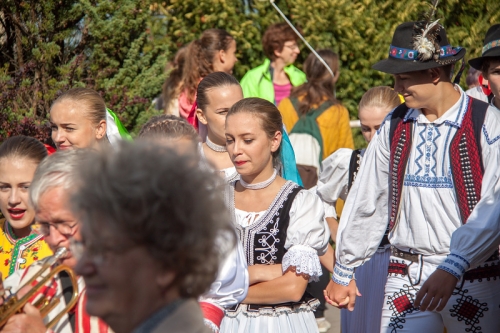 201609301743530.img-1784