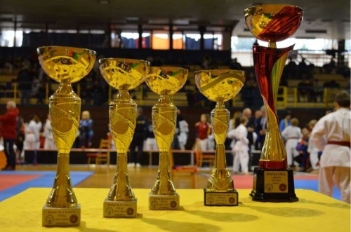 201611160827220.trofeje