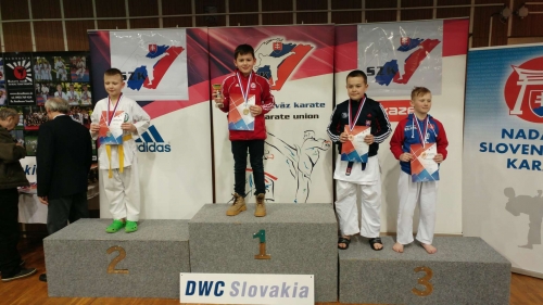 201702141056430.lukas-dufala-1-miesto-kumite