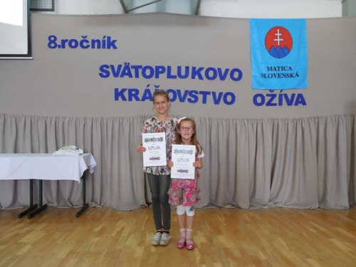 201706161249540.zmensene