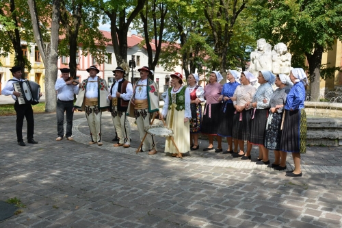 201709141359360.dsc-9157
