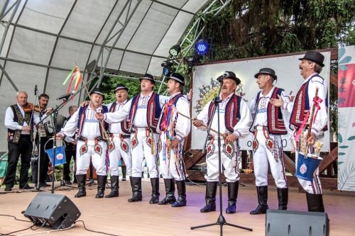 201805260129390.img-3422