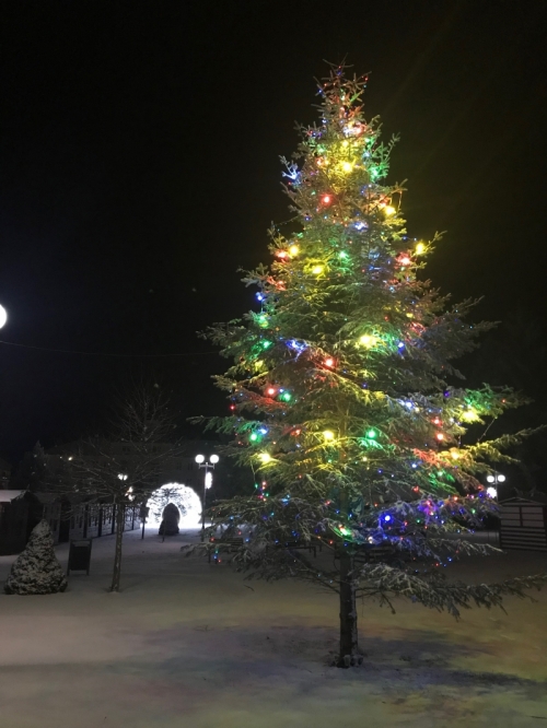 201812121420090.img-8590