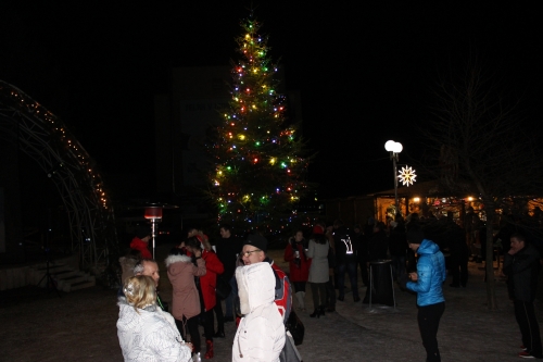201901020844230.img-1968