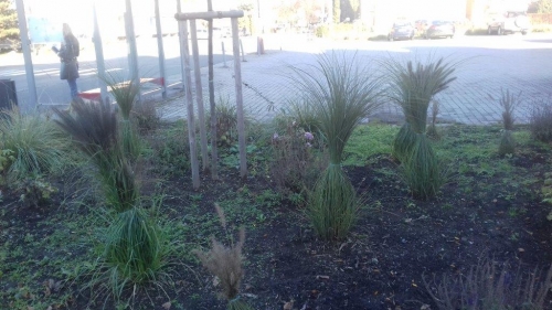 202011101404400.vysadba-jese-2020-032