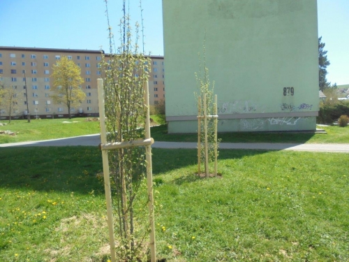 202105130809480.dsc00866