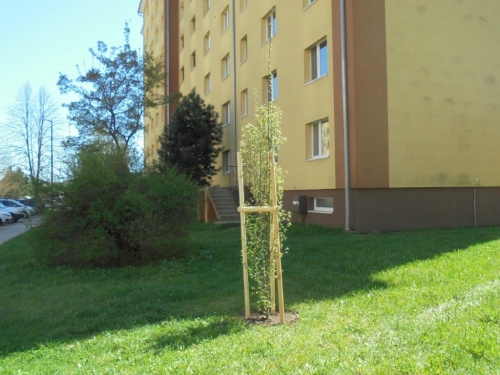 202105130809490.dsc00870