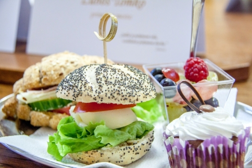 202211162011110.ranajky-004