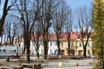 Na komplexné ošetrenie starých stromov, vrátane konzervácie, ktorá zabraňuje napadnutiu škodcami a chorobami, vyčlenilo Mesto v rozpočte na tento rok 400 tis. Sk.