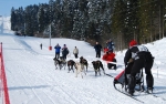 200903011710380.08-zaprahy-1-3
