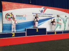 Ľubovnianski karatisti opäť výborne reprezentovali klub i mesto – fotografia 2