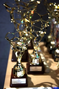 Víťazné trofeje Partnerstva 2018 sú rozdané – fotografia 36