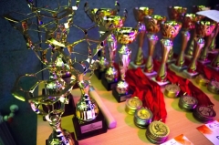 Víťazné trofeje Partnerstva 2018 sú rozdané – fotografia 37