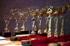 Víťazné trofeje Partnerstva 2018 sú rozdané – fotografia 2