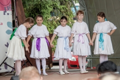 Ľubovniansky majáles, deň druhý – fotografia 53