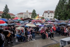 Ľubovniansky majáles, deň druhý – fotografia 16