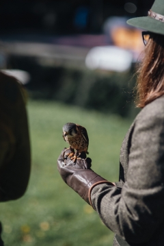 HUBERTOVSKÉ SLÁVNOSTI 2018 – fotografia 150