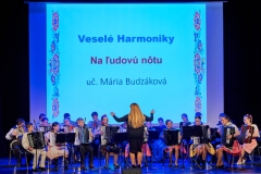 Fašiangová harmonika – fotografia 29