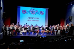 Fašiangová harmonika – fotografia 33