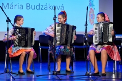 Fašiangová harmonika – fotografia 43