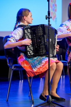 Fašiangová harmonika – fotografia 3