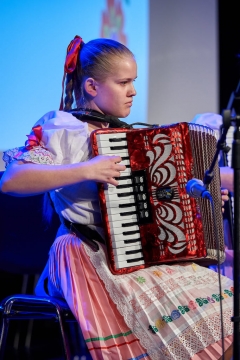 Fašiangová harmonika – fotografia 5