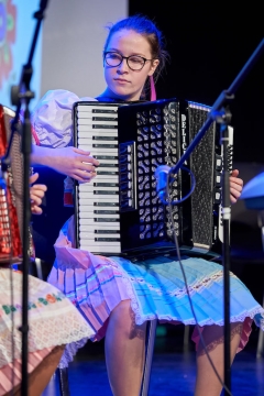 Fašiangová harmonika – fotografia 2