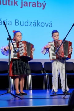 Fašiangová harmonika – fotografia 12