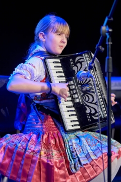 Fašiangová harmonika – fotografia 41