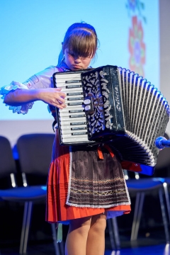 Fašiangová harmonika – fotografia 1