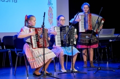 Fašiangová harmonika – fotografia 17