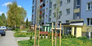 Jarná výsadba stromov na plochách verejnej zelene – fotografia 16