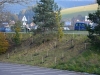 Výsadba drevín