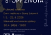 Stopy života - M. R. Štefánik