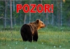 Medveď hnedý - upozornenie