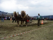 200804111538340.copjak_jakubany