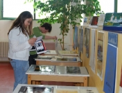 200805291452580.vystava